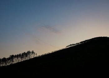 Βιετνάμ: «Κοιμώμενο» πλάσμα με «αγκάθια σαν στιλέτο» – Βρέθηκε νέο είδος