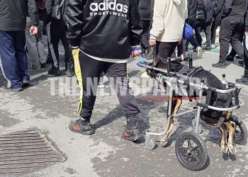 Συγκίνηση στον Βόλο: Σκύλος με αναπηρικό αμαξίδιο στην πορεία για τα Τέμπη (ΕΙΚΟΝΑ)