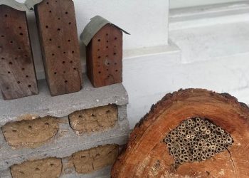 Ο «Άνθρωπος-Μέλισσα» σώζει τοπικά είδη της Αυστραλίας, χτίζοντας «ξενοδοχεία»