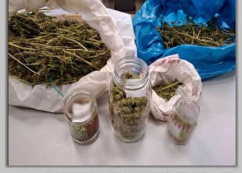Συνελήφθη γυναίκα με περισσότερα από 700 γραμμάρια κάνναβης  