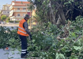 Αρχείο εταιρειών και εργολάβων για κοπή χόρτων δημιουργεί ο Δήμος Τρικκαίων