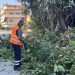 Αρχείο εταιρειών και εργολάβων για κοπή χόρτων δημιουργεί ο Δήμος Τρικκαίων