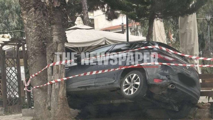 Απίστευτο τροχαίο στον Βόλο – ΙΧ «καρφώθηκε» ανάμεσα σε φοίνικες στην παραλία (ΕΙΚΟΝΑ)