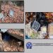Η ανακοίνωση της ΕΛΑΣ για την κλοπή ποσού «μαμούθ» από βενζινάδικο του Βόλου (ΕΙΚΟΝΕΣ – ΒΙΝΤΕΟ)