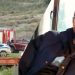 Αποκάλυψη: Τα 19 ερωτήματα για το παρασκήνιο της εξαφάνισης και του θανάτου του Βασίλη Καλογήρου