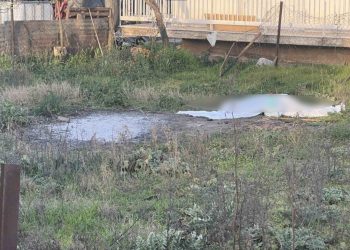 Τραγικός θάνατος για γυναίκα σε συνοικία της Λάρισας: Βρέθηκε νεκρή σε οικόπεδο – Δείτε φωτογραφίες