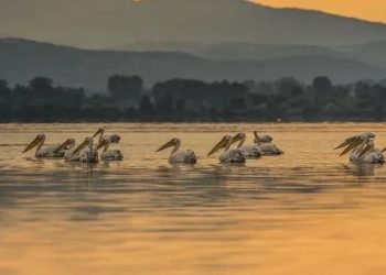 Βόλτα στα γραφικά Κάτω Πορόια – Λίγο έξω από τις Σέρρες βρίσκεται ένα χωριό ζωντανή ζωγραφιά