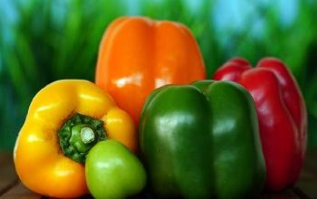 Γιατί δεν θα βρείτε πράσινη πιπεριά σε συσκευασίες με πολύχρωμες πιπεριές
