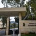 Ζωγράφου: Φοιτητής εντοπίστηκε κρεμασμένος σε δέντρο στην Πανεπιστημιούπολη