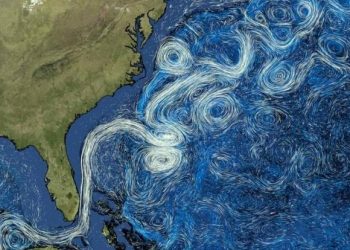 NASA: Μαγευτικά ωκεάνια ρεύματα μοιάζουν με πίνακα του Βίνσεντ Βαν Γκογκ