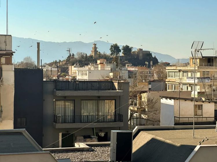 ΤΡΊΚΑΛΑ: ΠΩΛΕΙΤΑΙ διαμέρισμα 4ου ορόφου με θέα