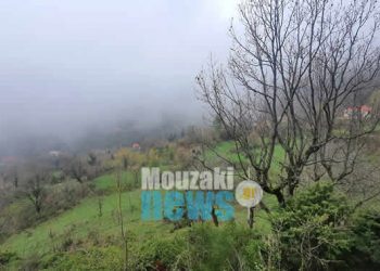 Συνεχίζονται οι έρευνες στο Ανθοχώρι και την ευρύτερη περιοχή για τον εντοπισμό του 88χρονου