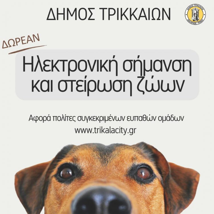 Δωρεάν τσιπάρισμα και στείρωση δεσποζόμενων ζώων για πολίτες συγκεκριμένων ομάδων από τον Δ. Τρικκαίων