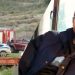Στη Λάρισα φαίνεται να κλείνει οριστικά η υπόθεση Βασίλη Καλογήρου: Γιατί δεν έκανε δεκτό το φάκελο της υπόθεσης το Ανθρωποκτονιών