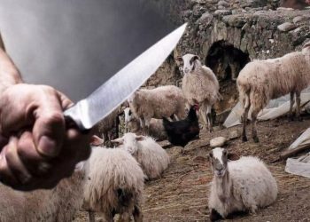 Λάρισα: Στην εντατική αλλά εκτός κινδύνου ο 61χρονος που μαχαιρώθηκε από τον κτηνοτρόφο εργοδότη του (BINTEO)