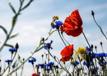 Τι καιρό θα κάνει τη Μεγάλη Εβδομάδα και την Κυριακή του Πάσχα; – Η εκτίμηση του Φ. Χατζηγρίβα