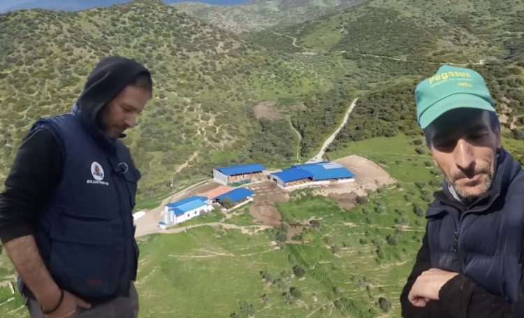Λάρισα: Τα αδέρφια με τη δική τους φάρμα – Η ζωή τους είναι δεμένη με το χώμα, το χορτάρι και τον ιδρώτα (ΒΙΝΤΕΟ)