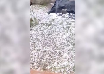 Δείτε βίντεο και φωτογραφίες: Χαλάζι έπληξε περιοχές του Δήμου Κιλελέρ – Καταιγίδα στη Λάρισα