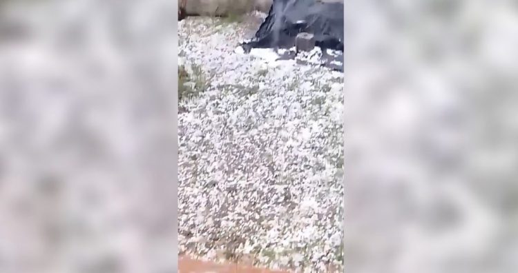 Δείτε βίντεο και φωτογραφίες: Χαλάζι έπληξε περιοχές του Δήμου Κιλελέρ – Καταιγίδα στη Λάρισα