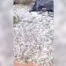 Δείτε βίντεο και φωτογραφίες: Χαλάζι έπληξε περιοχές του Δήμου Κιλελέρ – Καταιγίδα στη Λάρισα