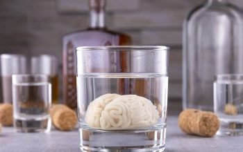 Βλάβες στα αγγεία του εγκεφάλου λόγω αλκοόλ – Τι έδειξε νέα έρευνα