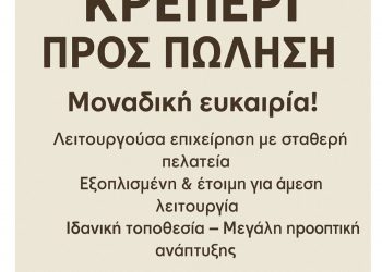 ΠΩΛΕΙΤΑΙ: Εξοχική Μονοκατοικία στο Πολυδένδρι Λάρισας – Θέα, θάλασσα και πλήρης εξοπλισμός!