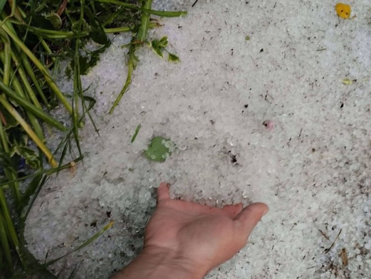 Έντονη βροχόπτωση και χαλάζι στην περιοχή του Παλαμά (ΕΙΚΟΝΕΣ)