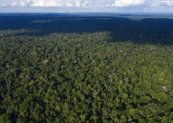 LiDAR: Η σύστημα λέιζερ που ανακάλυψε «αποικία φάντασμα» στην καρδιά του Αμαζονίου