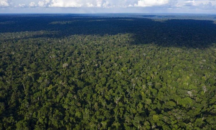 LiDAR: Η σύστημα λέιζερ που ανακάλυψε «αποικία φάντασμα» στην καρδιά του Αμαζονίου
