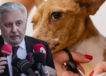 Με μήνυση κατά της καταγγέλουσας ηθοποιού απαντούν οι κτηνίατροι του Βόλου για την κακοποίηση από την groomer