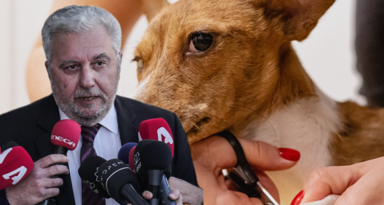 Με μήνυση κατά της καταγγέλουσας ηθοποιού απαντούν οι κτηνίατροι του Βόλου για την κακοποίηση από την groomer