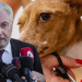 Με μήνυση κατά της καταγγέλουσας ηθοποιού απαντούν οι κτηνίατροι του Βόλου για την κακοποίηση από την groomer