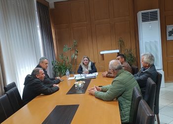 Mε το Δ.Σ. του Σωματείου Εμπόρων Μεταχεισμένων Φορτηγών Αυτοκινήτων συναντήθηκε η Χρύσα Ντιντή