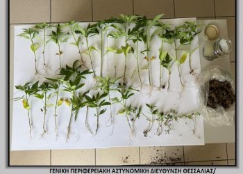 Δήμος Κιλελέρ: “Στα πράσα” δύο άνδρες για καλλιέργεια και κατοχή ναρκωτικών (ΕΙΚΟΝΑ)