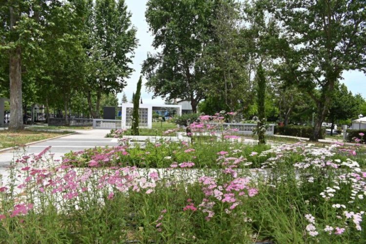 Πάρκο Αλκαζάρ – Μια όαση δροσιάς λίγα μόλις λεπτά από το κέντρο της Λάρισας (ΕΙΚΟΝΕΣ – ΒΙΝΤΕΟ)