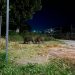 Λάρισα: Τρόμος με τεράστια αγριογούρουνα που έκοβαν βόλτες μέσα στην πόλη, δίπλα σε σχολείο (ΕΙΚΟΝΕΣ)