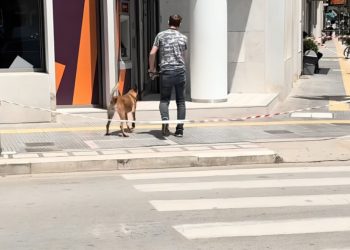 «Εμμονή» με συγκεκριμένη τράπεζα είχε ο 44χρονος φαρσέρ με τις απειλές για βόμβα – Οδηγείται σήμερα στον εισαγγελέα