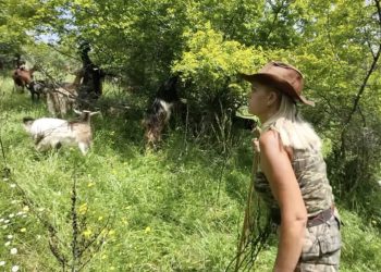 Αυτή είναι η Καλαμπακιώτισσα καουμπόισσα που ξεχωρίζει – Κτηνοτρόφος με λεβέντικη ψυχή (ΒΙΝΤΕΟ)