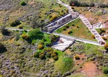 Το Απολιθωμένο Δάσος της Μυτιλήνης μιλά για το μέλλον του πλανήτη
