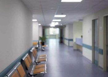 Βόλος: Εσπευσμένα στο Νοσοκομείο 19χρονος μετά από τσίμπημα οχιάς