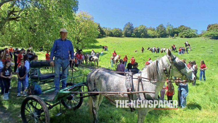 Μεγάλη επιτυχία στην 11η Ιππική Συνάντηση στο Ελευθεροχώρι Μαγνησίας – Μια γιορτή παράδοσης και πολιτισμού (ΕΙΚΟΝΕΣ)