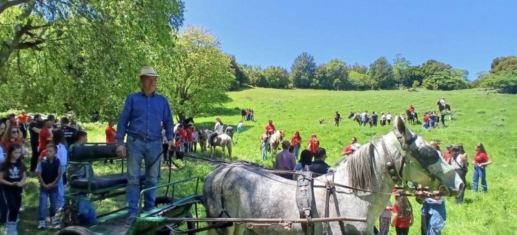 Μεγάλη επιτυχία στην 11η Ιππική Συνάντηση στο Ελευθεροχώρι Μαγνησίας – Μια γιορτή παράδοσης και πολιτισμού (ΕΙΚΟΝΕΣ)