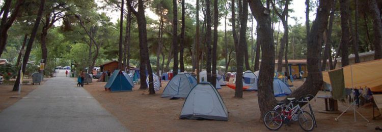 Αύριο ξεκινούν οι αιτήσεις για 70.000 vouchers παιδικών κατασκηνώσεων της ΔΥΠΑ