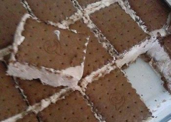 Τούρτα παγωτό ή παγωτό σάντουιτσ…