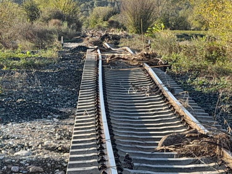 Φίλοι Σιδηροδρόμου: Να επανέλθει το τρένο στη δυτική Θεσσαλία στο ορατό μέλλον
