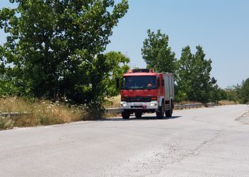 Πρόστιμο 1.875 ευρώ σε 74χρονη για παράνομη καύση ξερών χόρτων στο Πήλιο
