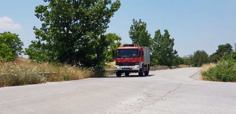 Πρόστιμο 1.875 ευρώ σε 74χρονη για παράνομη καύση ξερών χόρτων στο Πήλιο