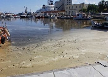 Λιμάνι Βόλου: Αποκαρδιωτικές οι νέες εικόνες από τη ρύπανση – Τι λένε οι πρώτες πληροφορίες για την αιτία (ΦΩΤΟ)