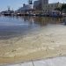 Λιμάνι Βόλου: Αποκαρδιωτικές οι νέες εικόνες από τη ρύπανση – Τι λένε οι πρώτες πληροφορίες για την αιτία (ΦΩΤΟ)