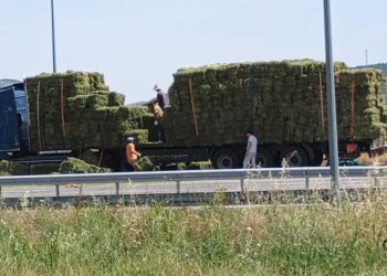 Δέματα από τριφύλλι έφυγαν από καρότσα φορτηγού στην ε.ο. Τρικάλων – Λάρισας το μεσημέρι της Παρασκευής